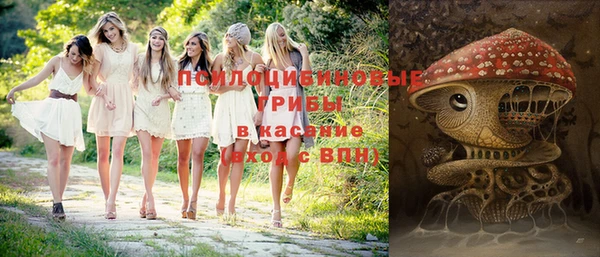 спайс Абаза