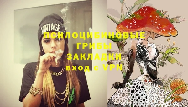 круглые Алзамай