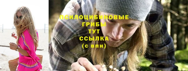 ешки Абинск