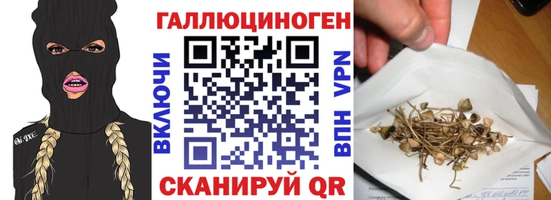 Псилоцибиновые грибы Cubensis  Ялта 